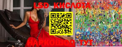 ешки Ярославль