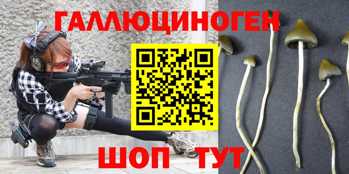 Галлюциногенные грибы MAGIC MUSHROOMS  Вход с VPN  где купить   Галлюциногенные грибы прущие грибы  Кострома 